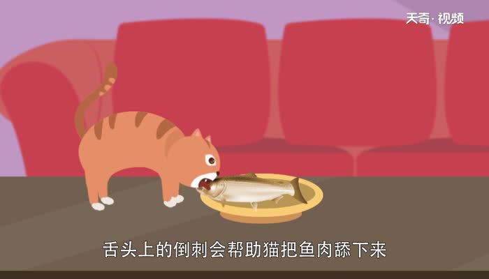 猫吃鱼会卡刺吗 猫吃鱼会被鱼刺卡到吗