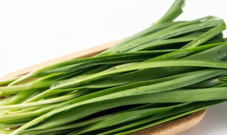 韭菜的营养价值及韭菜的功效作用（韭菜的营养价值及韭菜的功效作用图片）