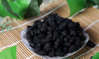 桑葚干的功效和食用方法 桑葚干的功效和食用方法及禁忌