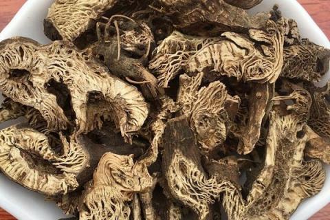 广升麻的功效与作用（广升麻的功效与作用的功能与主治）