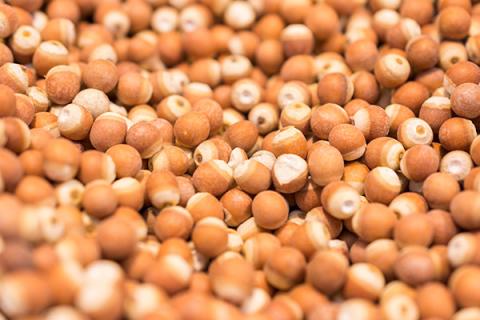 芡实米的功效与作用 芡实米的功效与作用害处