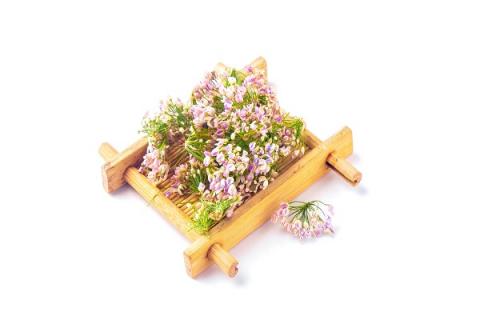 野韭菜花的功效与作用（野韭菜花的功效作用与营养价值）
