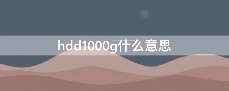 hdd1000g什么意思（hdd 100%）