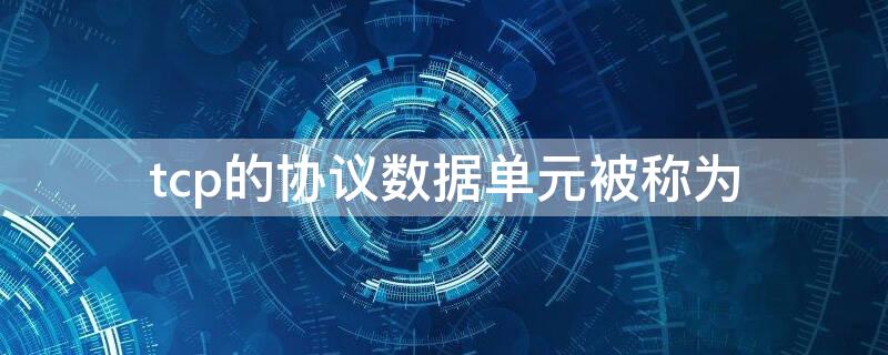 tcp的协议数据单元被称为（TCP的协议数据单元被称为 帧 包 段 字符）