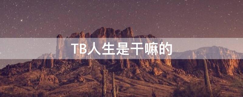 TB人生是干嘛的（淘宝人生是干啥的）