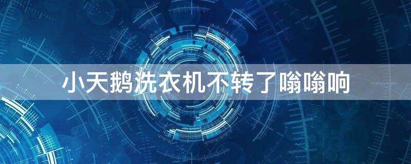 小天鹅洗衣机不转了嗡嗡响（小天鹅洗衣机不转了嗡嗡响什么原因）
