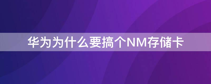 华为为什么要搞个NM存储卡（华为为什么做nm存储卡）