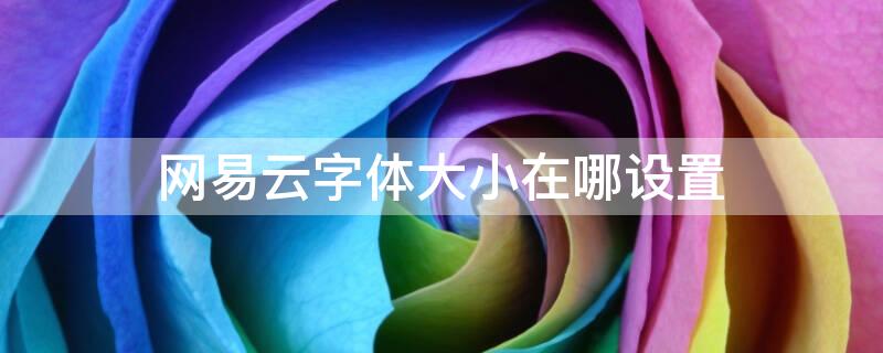 网易云字体大小在哪设置（网易云字体大小在哪设置啊）