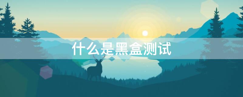 什么是黑盒测试（什么是黑盒测试?黑盒测试主要的技术有哪些?）