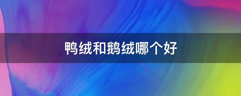 鸭绒和鹅绒哪个好 羽绒服鸭绒和鹅绒哪个好