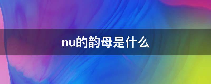 nu的韵母是什么（nu的韵母是什么怎么写）