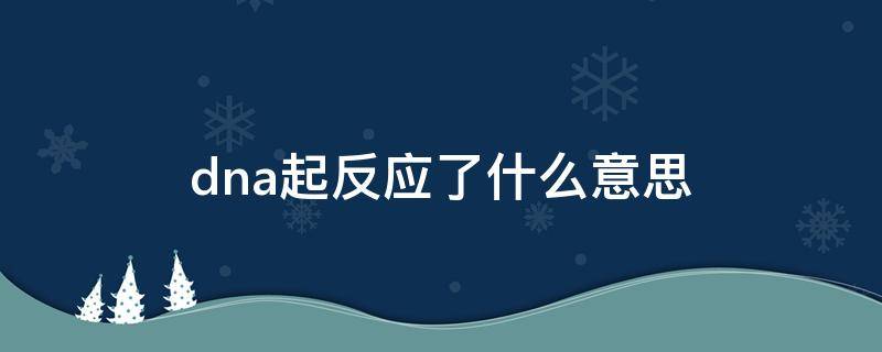 dna起反应了什么意思（dna化学反应）