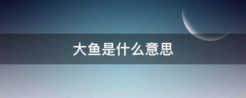 大鱼是什么意思 梦到钓到一条大鱼是什么意思