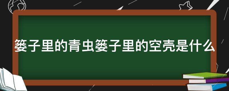 篓子里的青虫篓子里的空壳是什么（篓子里的青虫的故事）