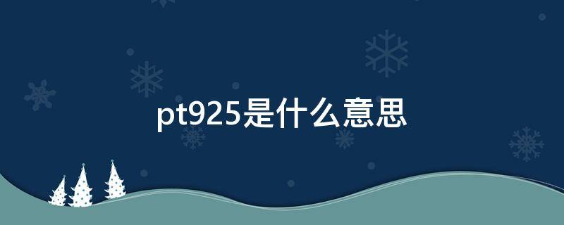pt925是什么意思 pt924