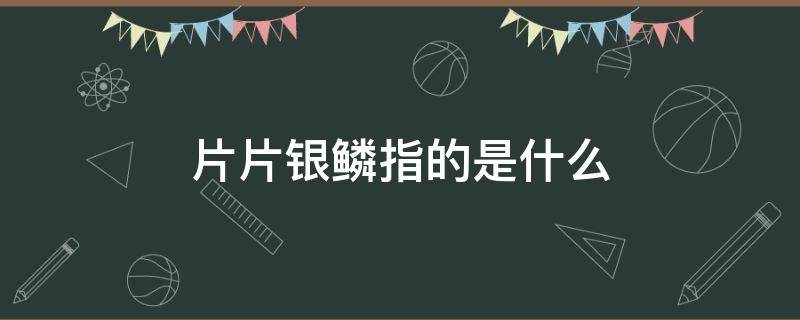 片片银鳞指的是什么 片片银鳞指的是什么,写出小河什么特点
