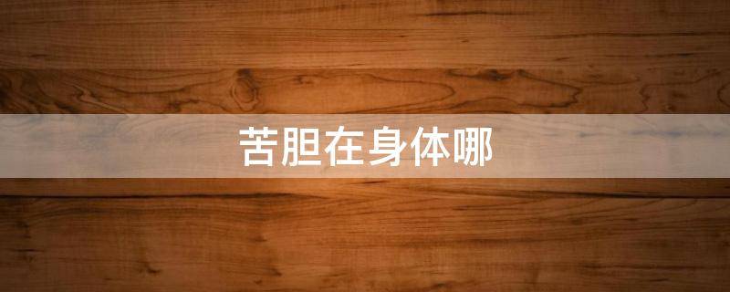 苦胆在身体哪 苦胆在身体里起什么作用
