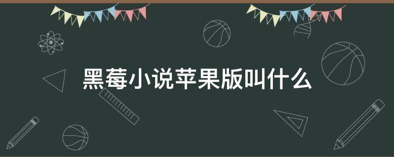 黑莓小说苹果版叫什么 黑莓小说旧版本下载