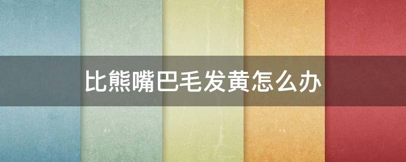 比熊嘴巴毛发黄怎么办 比熊嘴巴毛发黄怎么回事