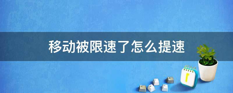 移动被限速了怎么提速（被移动限速有什么办法提速）