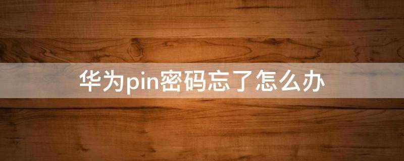 华为pin密码忘了怎么办（华为pin密码忘记了怎么办）
