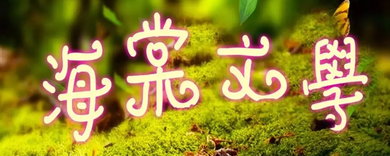 shoto是什么（shoto是什么意思）